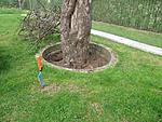 Buddelm�glichkeit
