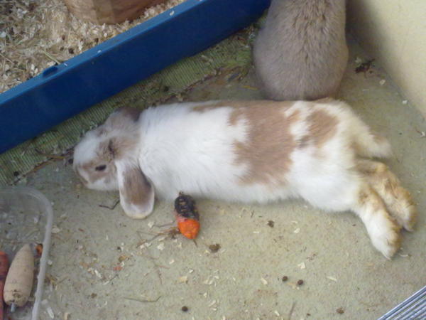 Da pennt se ^^