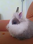 IMG 20121212 145343