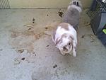 IMG 20121212 145558