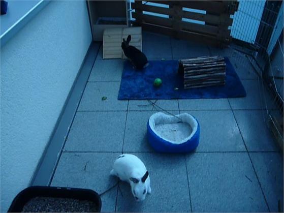 Das war das erste mal draussen auf dem Balkon