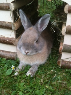 Jack
