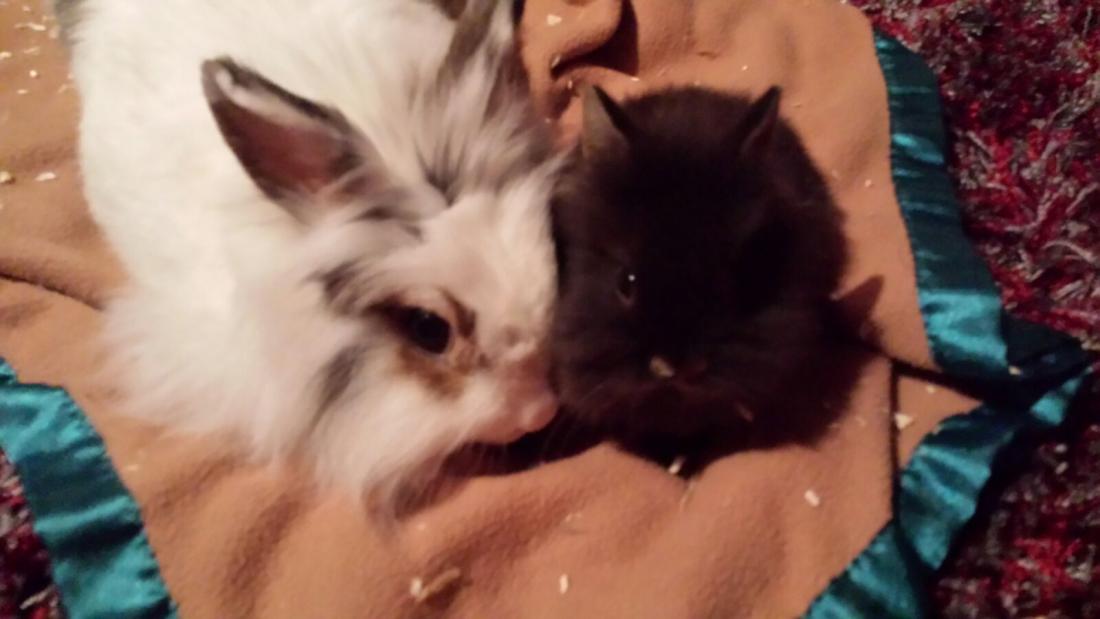 Meine 2 M�dels :)