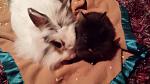 Meine 2 M�dels :)