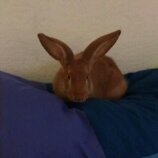 myanimals filipe 5 monate