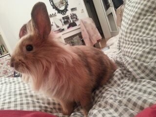 So eine kleine Diva :)