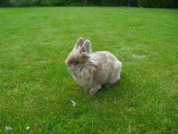 In unsrem Garten!