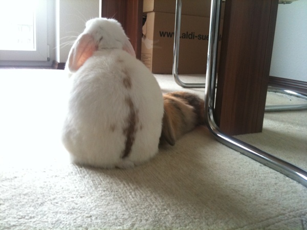Leeloo & Oskar 1