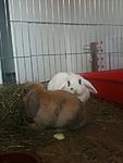 Leeloo & Oskar2