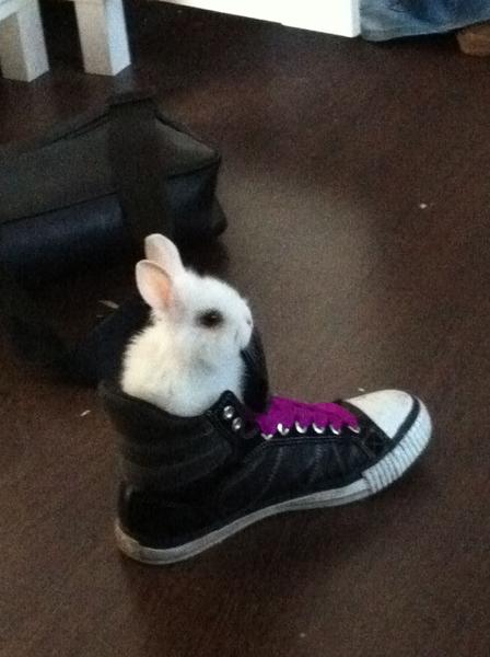 einfach nur knuffig <3