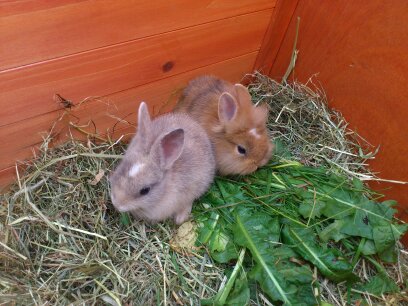 Da waren sie noch gaanz jung =)