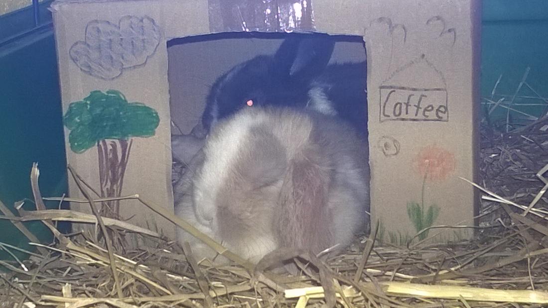 Erster Tag im neuen Zuhause