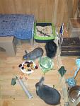 Lucky, Vito und Rocky beim Schlemmern