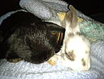 Lui & Mya <3