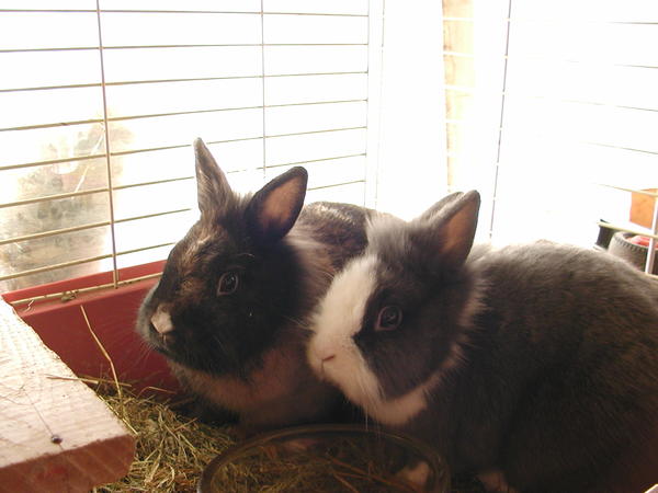 Ben und Emma