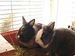 Ben und Emma