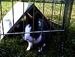 DSCF6146