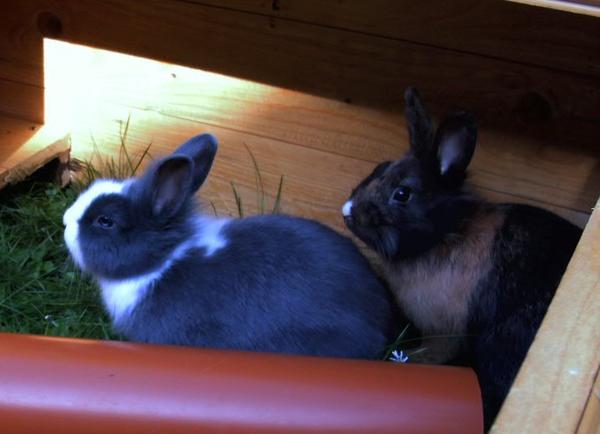 Emma und Ben