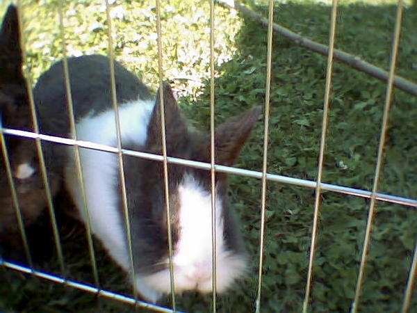 photo002