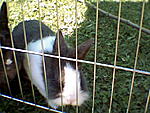 photo002
