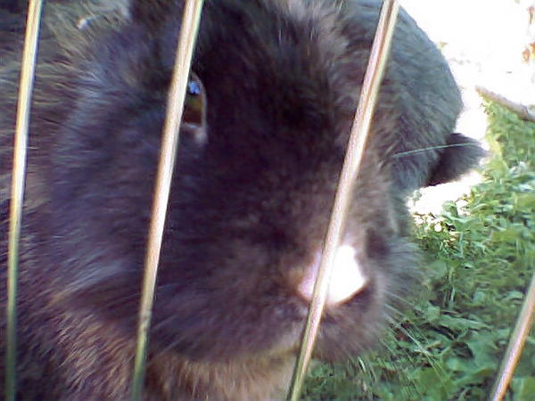 photo004