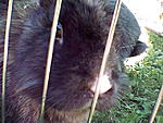 photo004