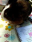 IMG 0023
