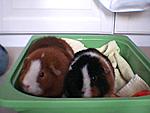 einmal Miley und Charlie in ihrer favoriten Kiste :D
