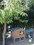 sd 006
