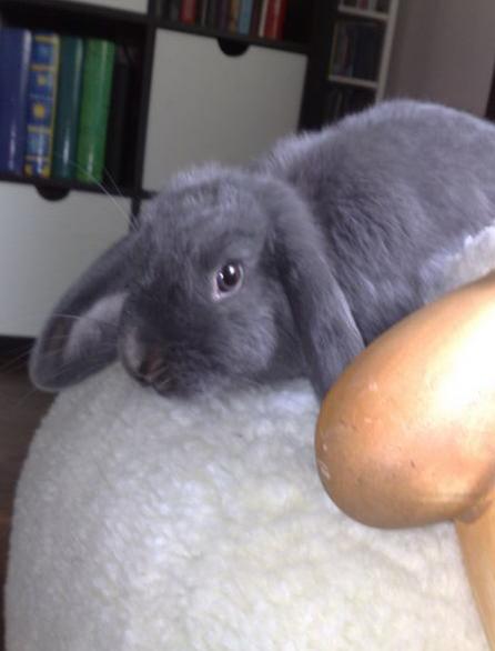 C�cile