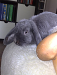 C�cile