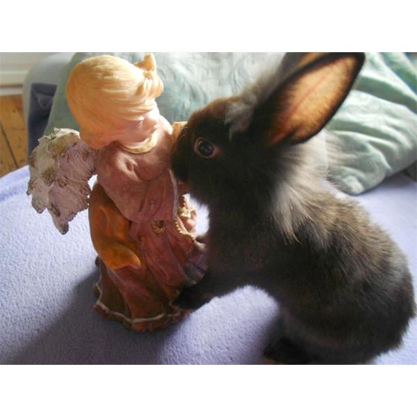 Verliebt in den Engel ♥
29.07.2012