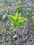 2012 04 16 19 1