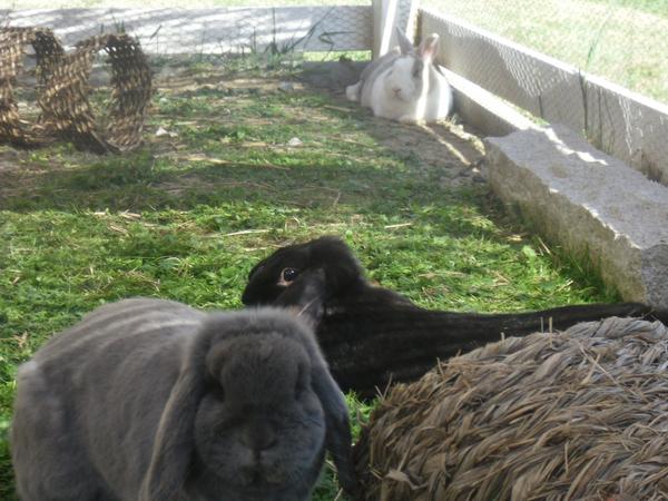 Miro, Leonie & Blume