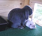Miro und Kr�mel