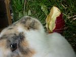 Urlaub im Gr�nen. 
2 Wochen Steilk�ste mit Marie und Merlin.