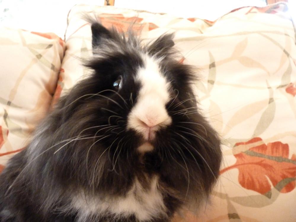 Selfie :D