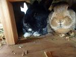 Bobby und Charlotte