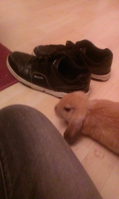 Schnuffel :)