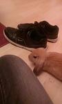 schnuffel & charlie
