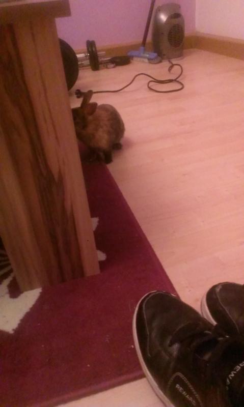 Charlie