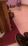 Charlie