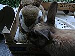 Stupsi mit ihrem Kuscheltier :)