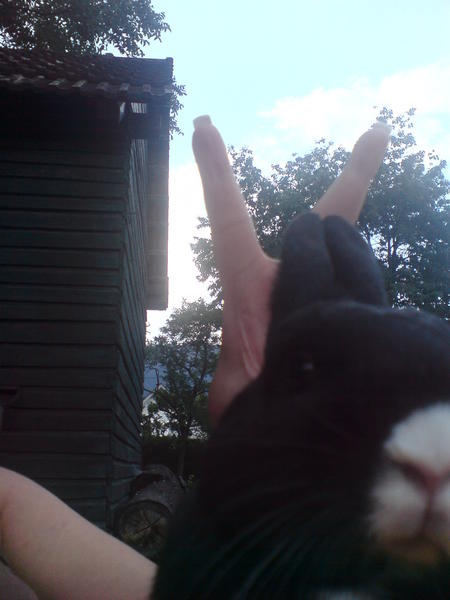 Ich muss ihn einfach ver�ppeln *ggg*