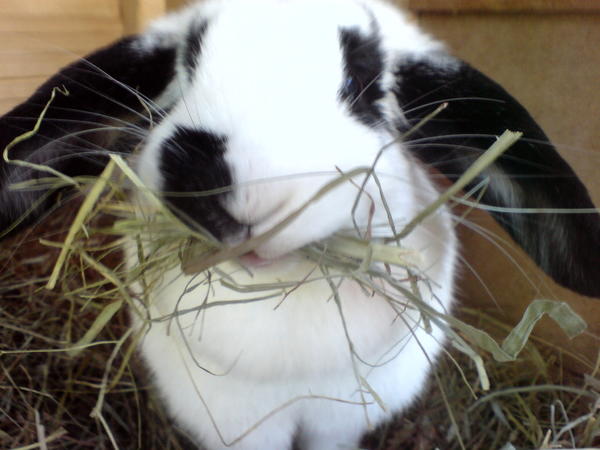 Oh mann ... *ggg*