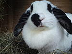 Guckst du? *ggg*