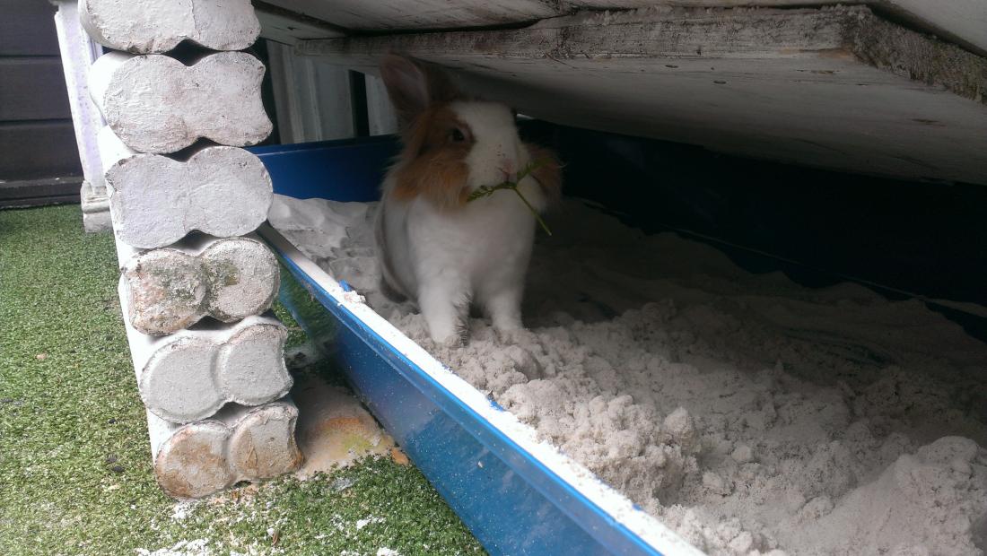 Nach Buddeln kommt Muffeln :o)