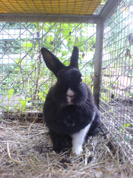 die Lili, diese freche Maus :)