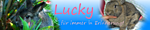 Lucky, ich vergess dich nicht!