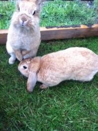 Sunny und Cara(melli)